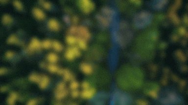 Sustainable Washing Solution